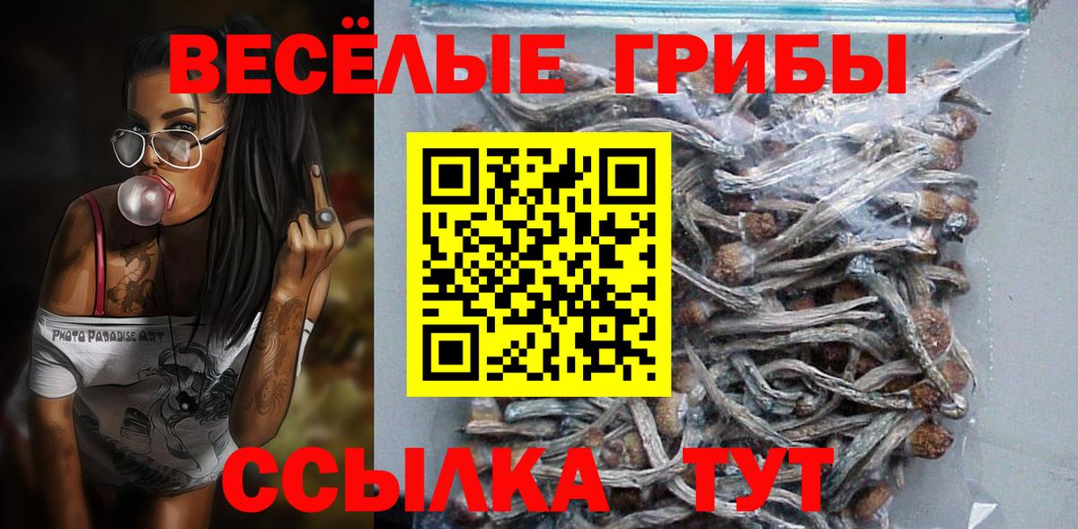Псилоцибиновые грибы MAGIC MUSHROOMS Алексин
