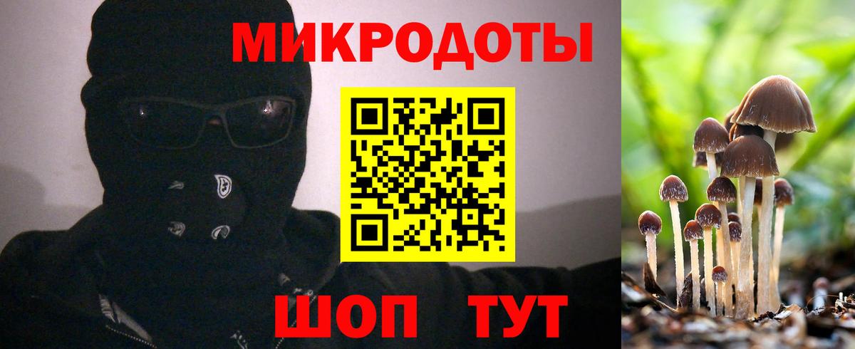Алексин  Псилоцибиновые грибы MAGIC MUSHROOMS  цены   Вход с VPN  Псилоцибиновые грибы Psilocybine cubensis 